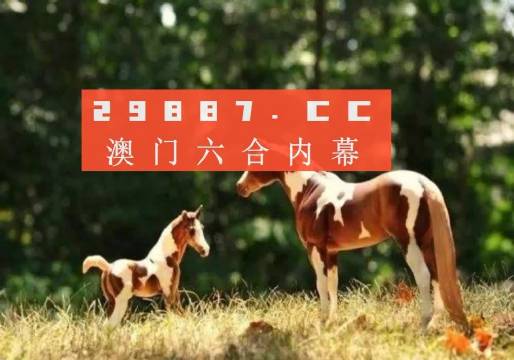 澳门今晚开特马四不像图;公开释义与解释落实