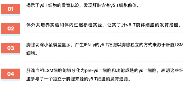 2025新澳精准正版免費資料详解释义、解释落实