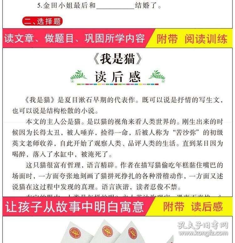 新澳2025最精准正最精准,详解释义、解释落实